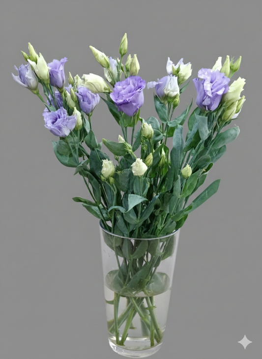 Lisianthus